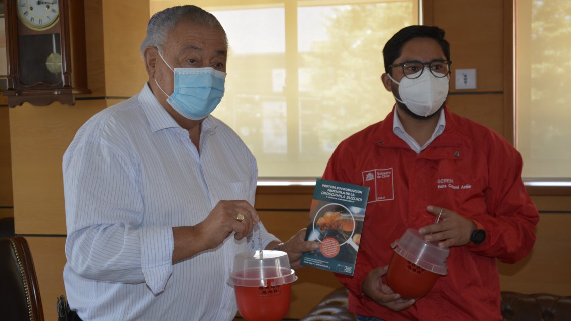 Con entrega de trampas buscan combatir la mosca de la fruta en Pucón