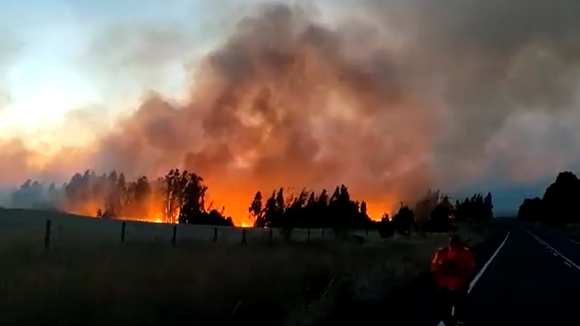 Dos incendios forestales mantienen con alerta roja a Perquenco, Galvarino y Traiguén