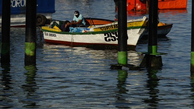 Subsecretaría le pidió la renuncia al director zonal de Pesca de Ñuble y Biobío por 