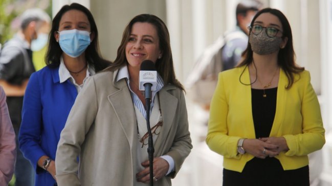 ¿Provocación o desliz? Los insultos de Teresa Marinovic a la Convención