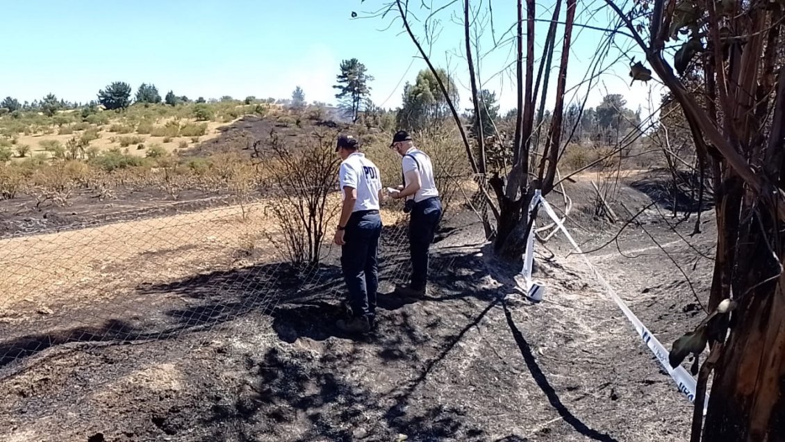 Fue controlado incendio forestal que consumió 1.420 hectáreas en Cauquenes