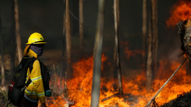 Aumenta la preocupación por los incendios forestales en La Araucanía