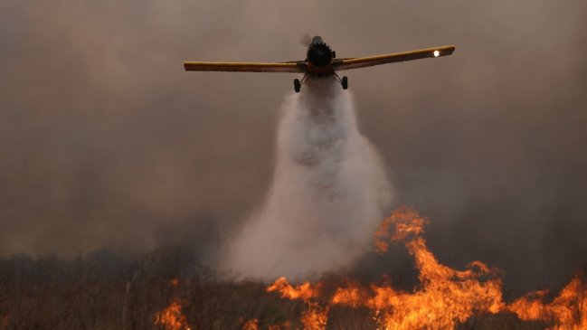 Incendio forestal ya ha arrasado con el diez por ciento de la provincia de Corrientes en Argentina