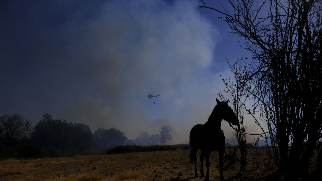 Continúa combate a incendio forestal en Melipeuco