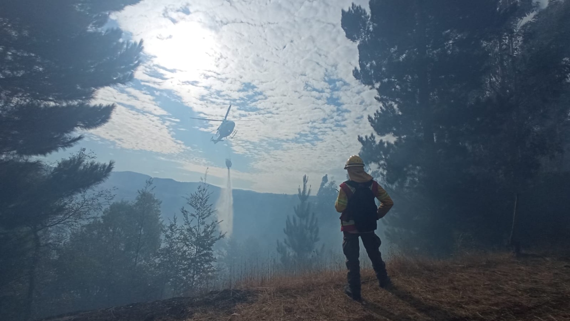 Brigadas continúan combatiendo incendio que afecta a reserva nacional en Melipeuco