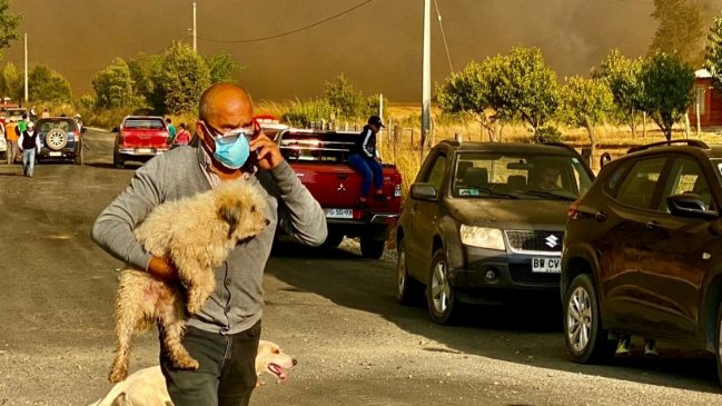 Incendio en El Carmen y Pemuco: 22 estructuras afectadas por las llamas
