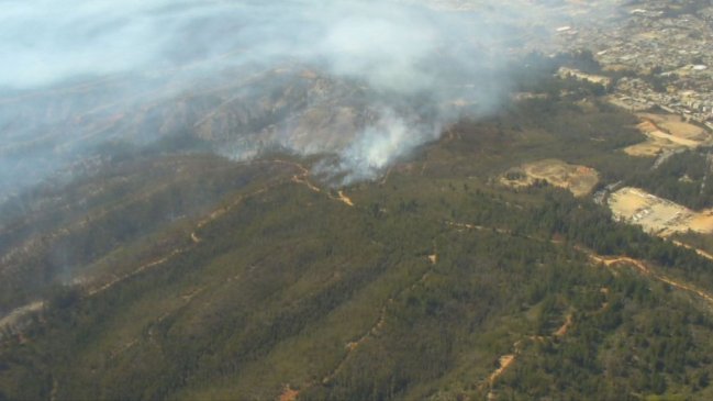 Incendio forestal de Valparaíso se mantiene en 350 hectáreas y con actividad en quebradas