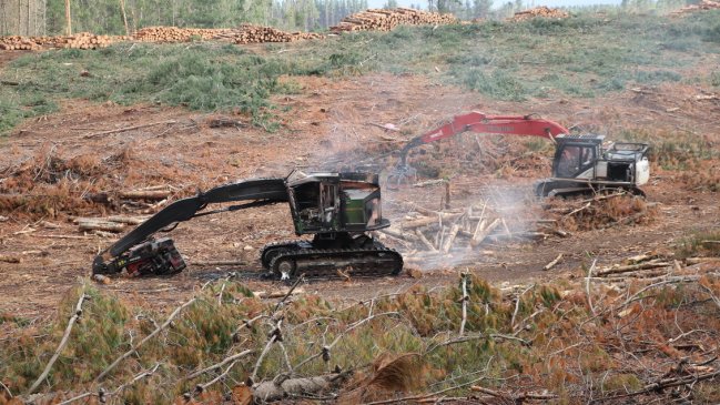 Trabajador resultó herido tras ataque a faena forestal en ruta Angol-Los Sauces