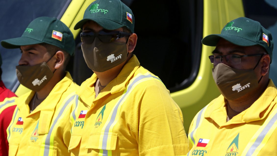 Conaf activó la búsqueda de pareja desaparecida en Reserva Nacional Villarrica