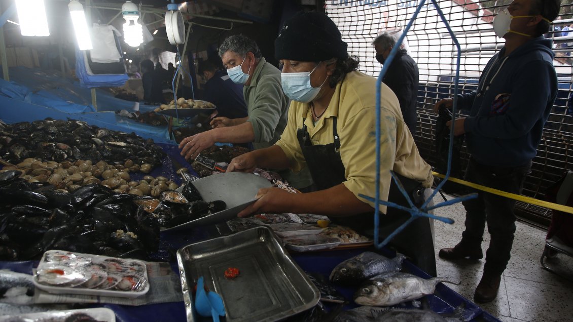 Sernapesca decretó alerta por marea roja en zona de extracción de mariscos en Calbuco