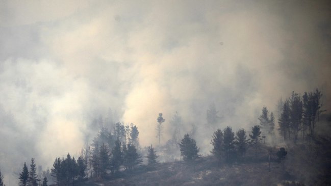 Conaf reveló que los incendios forestales aumentaron un 4% a nivel país