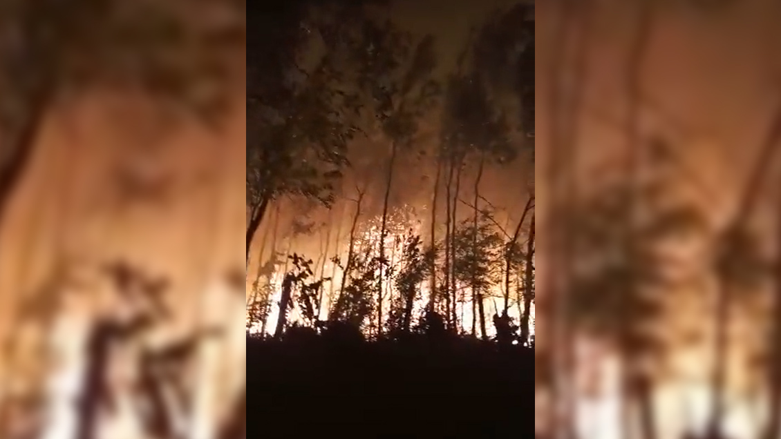 Cuatro comunas del Biobío en alerta roja por incendios forestales que consumen más de 1.300 hectáreas