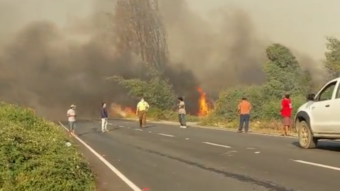 Incendio forestal provocó suspensión de clases en todos los colegios públicos de Yumbel