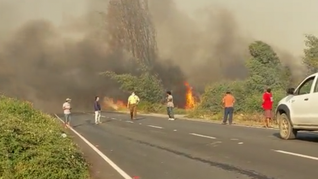 Incendio forestal provocó suspensión de clases en todos los colegios públicos de Yumbel