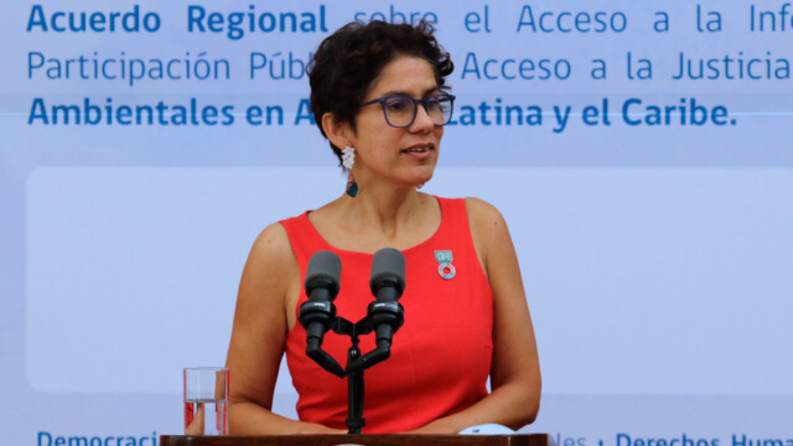 Ministra de Medio Ambiente: 