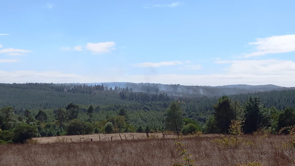 Controlan incendio forestal de Yumbel: Hay más de 4.800 hectáreas quemadas