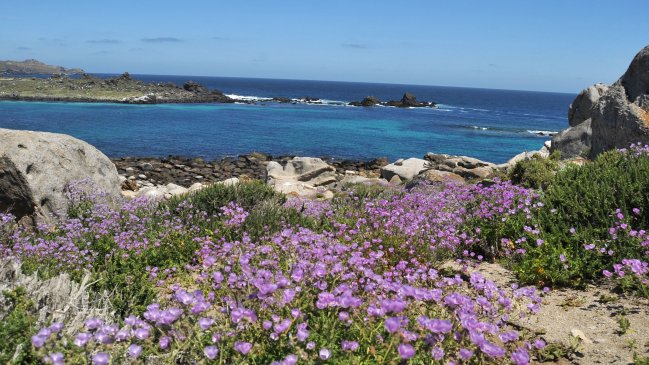 La ONU propuso recomendaciones en materia ambiental para la nueva Constitución
