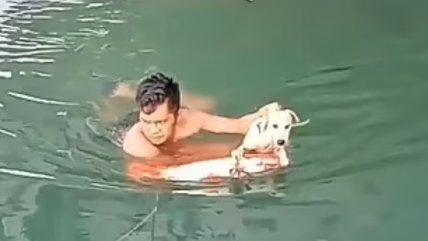  El emotivo rescate a perrito que quedó bajo una embarcación  