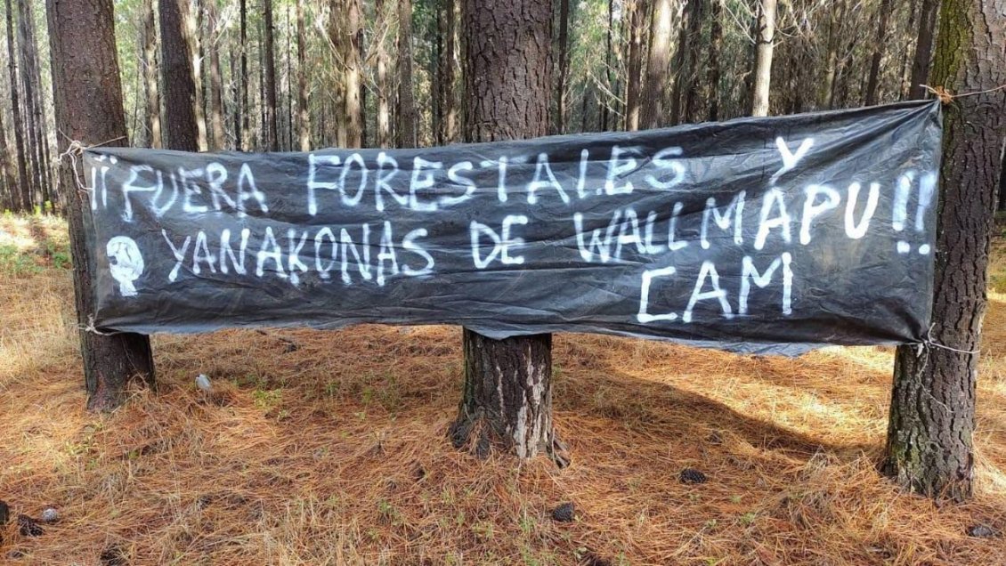 Apoyada por la CAM, comunidad mapuche ocupó fundo en Traiguén