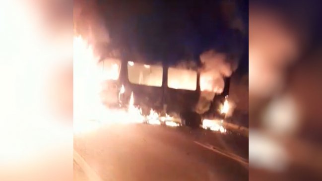 Tras nuevo atentado en Tirúa, contratista forestal implora: 