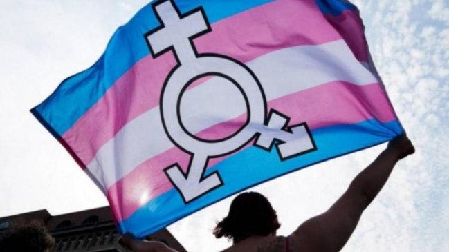 En el Día de la Visibilidad Trans: La identidad de género llegó al borrador de la nueva Constitución