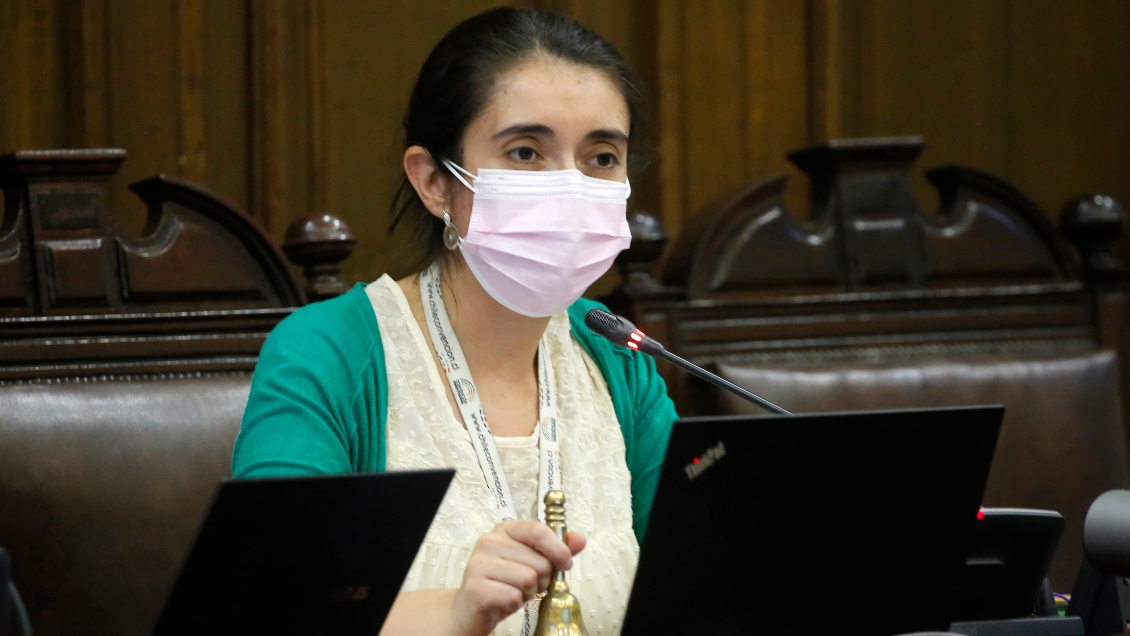 Presidenta de la Convención: 