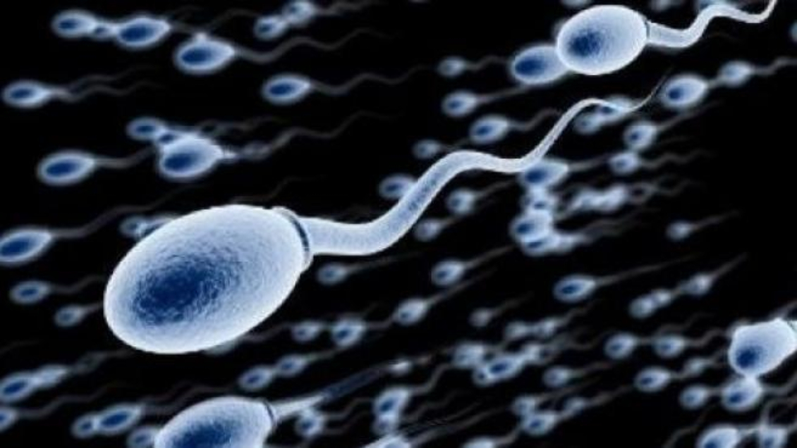 Crean un chip para separar los espermatozoides 