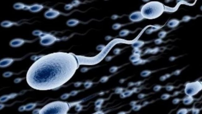 Crean un chip para separar los espermatozoides 