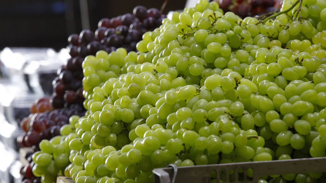 Gobierno anunció que apurará la implementación del 