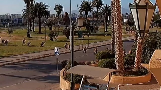 Formalizan a tres militares por obstrucción a investigación en caso por muerte de joven durante el estallido