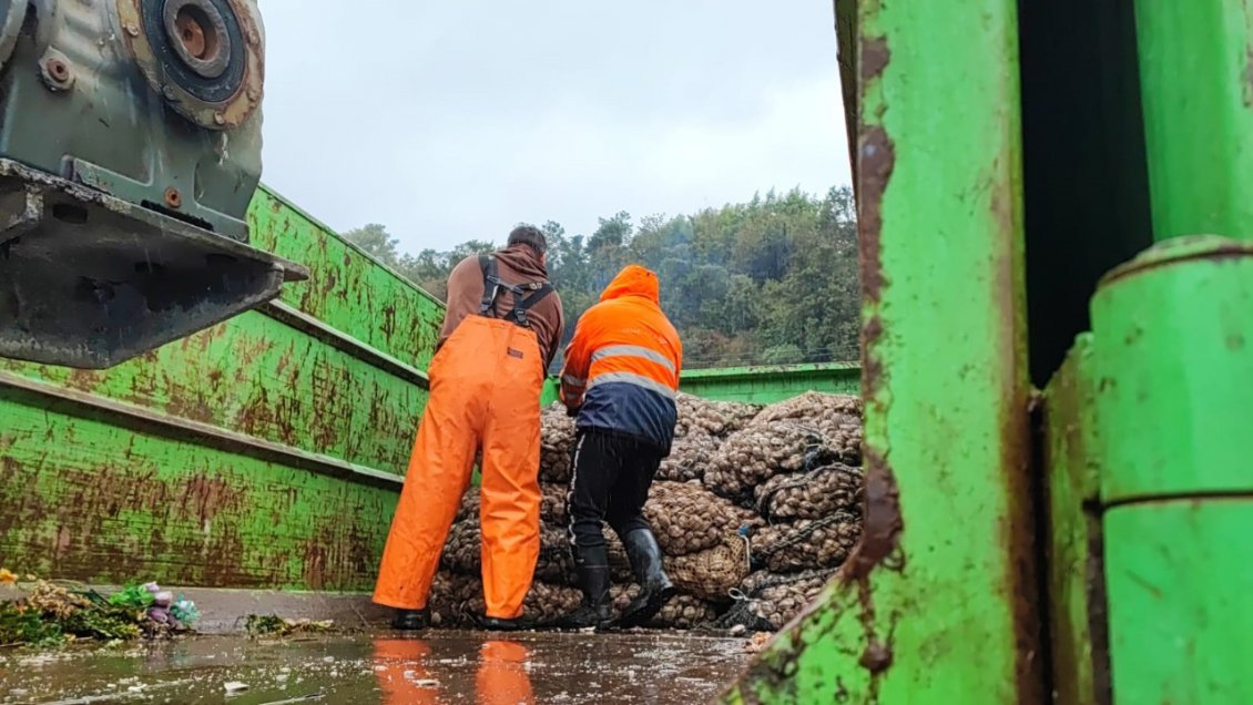 Sernapesca detectó cargamento de almejas extraídas en zona con presencia de marea roja