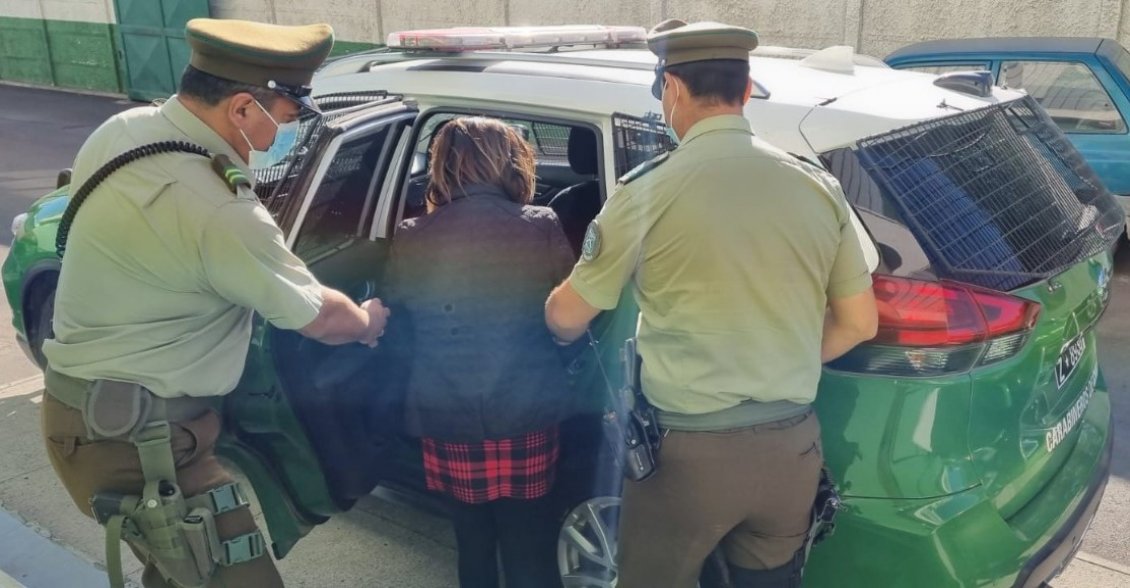 Denuncia de maltrato animal terminó con mujer detenida por cultivo de cannabis en San Ignacio