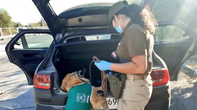Carabineros detuvo a cinco personas e incautó más de mil dosis de drogas en Bulnes y Pemuco