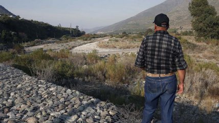  SNA: Hoy no peligra la seguridad alimentaria, pero en el mediano plazo sí podría  