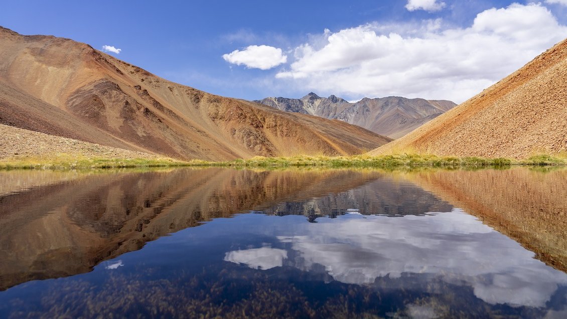Paihuano tiene nuevo santuario de la naturaleza de casi 50 mil hectáreas