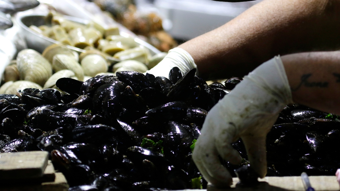 Autoridades fiscalizaron puerto de Quellón verificando controles sanitarios de los productos del mar