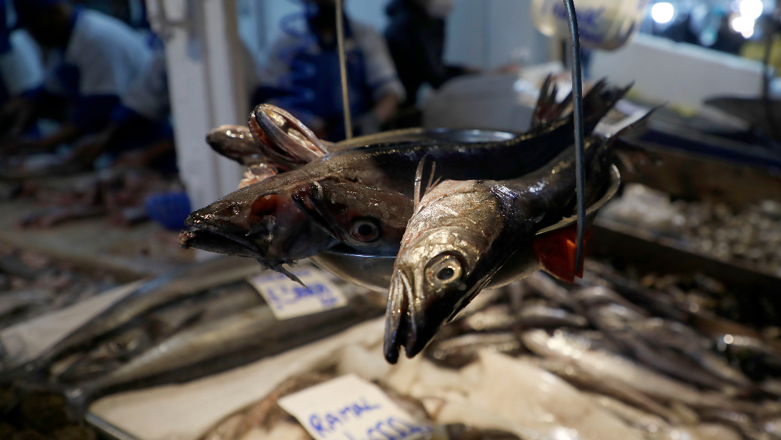 Seremi de Salud de Valparaíso ha decomisado dos toneladas de mariscos este fin de semana largo