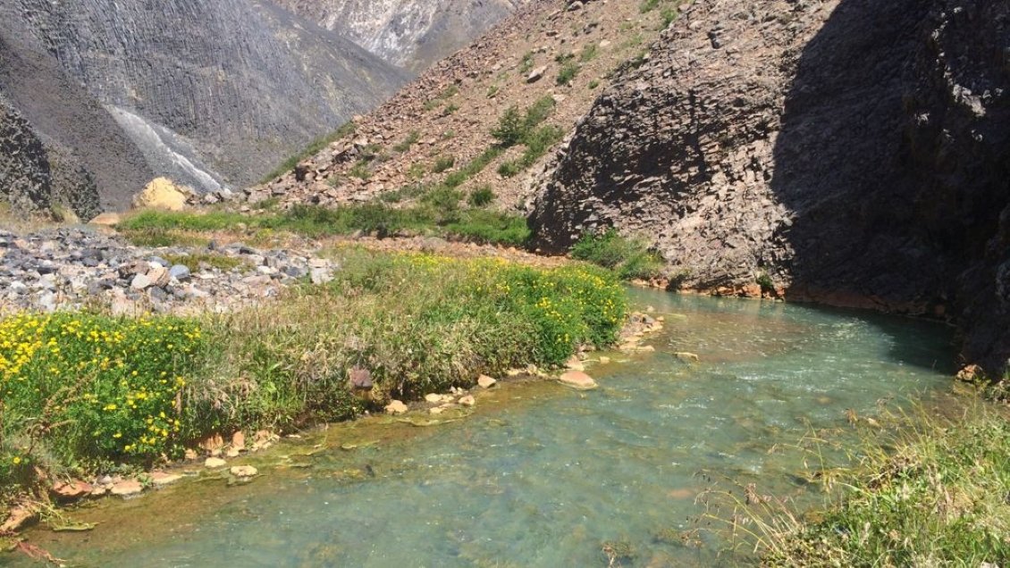 Superintendencia de Medio Ambiente inició investigación por loteo irregular en Parque Nacional Puyehue