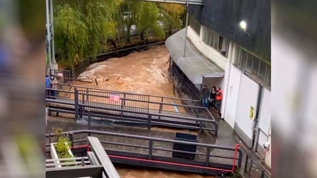 Al menos 42 viviendas afectadas por desborde de estero en Tomé