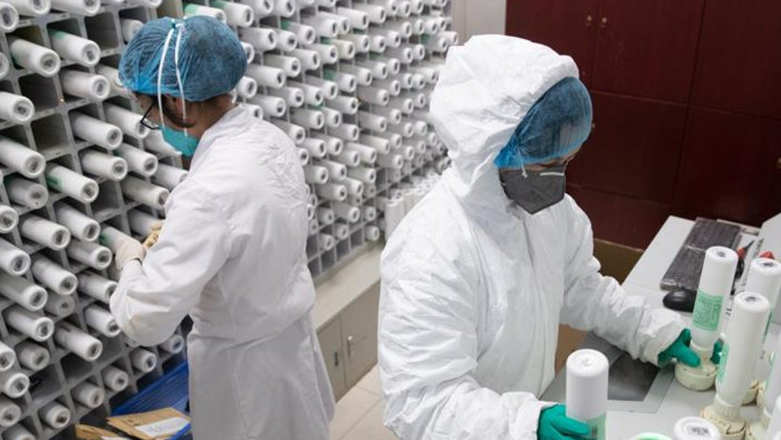 China detectó el primer caso de gripe aviar H3N8 en humanos