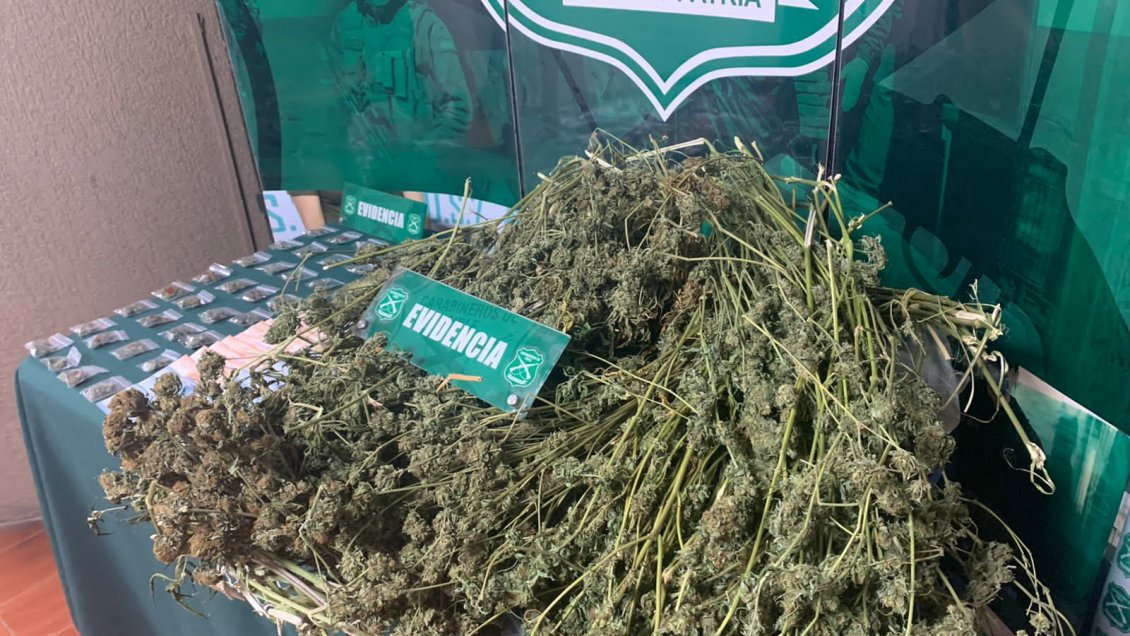 Sujeto traficaba droga en Viña del Mar usando una tienda de masajes como fachada