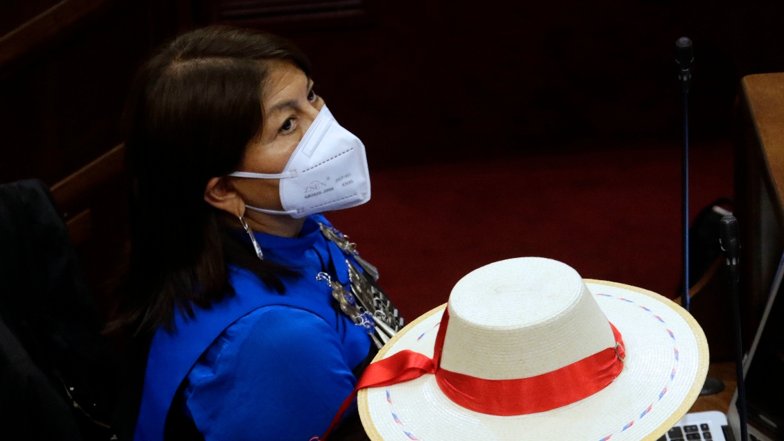 Elisa Loncon: Entre ocho y diez normas propuestas por Derechos Indígenas ya están en el borrador