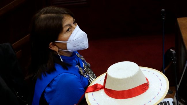 Elisa Loncon: Entre ocho y diez normas propuestas por Derechos Indígenas ya están en el borrador