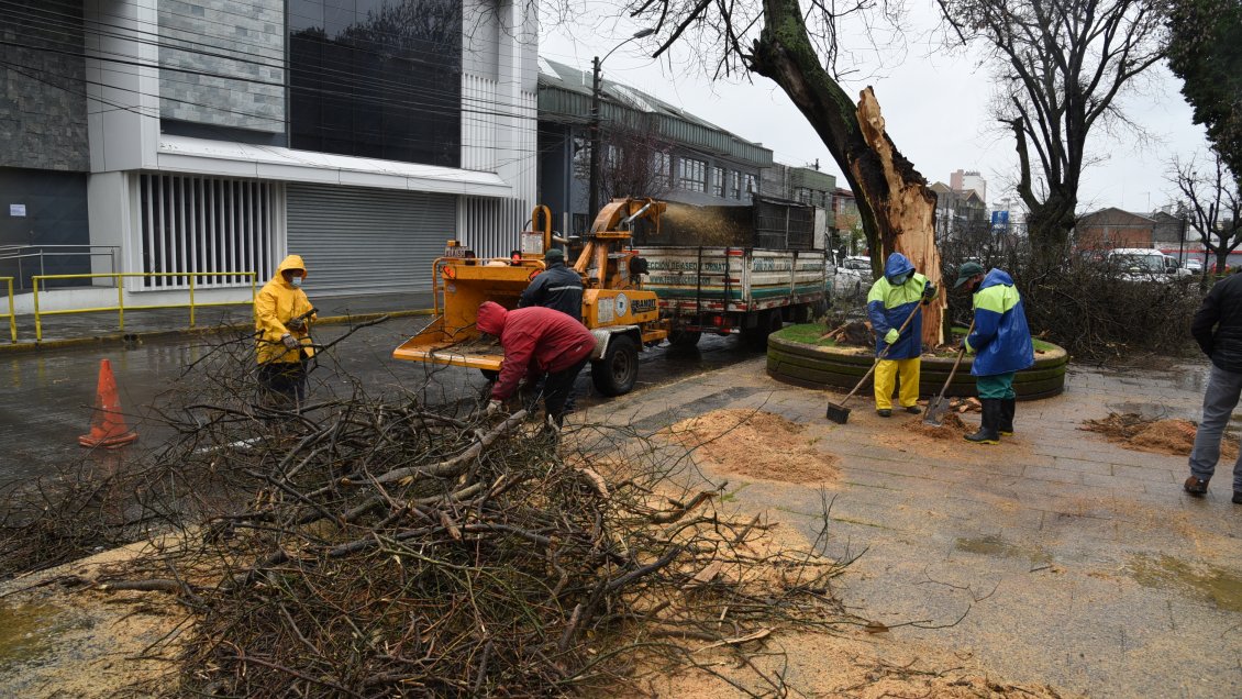 Municipalidad de Temuco presentó su Plan de Invierno 2022