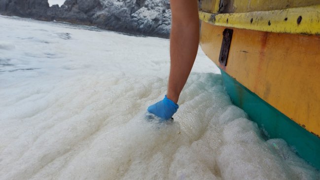 UPLA detectó coliformes fecales sobre la norma en aguas marinas de Valparaíso
