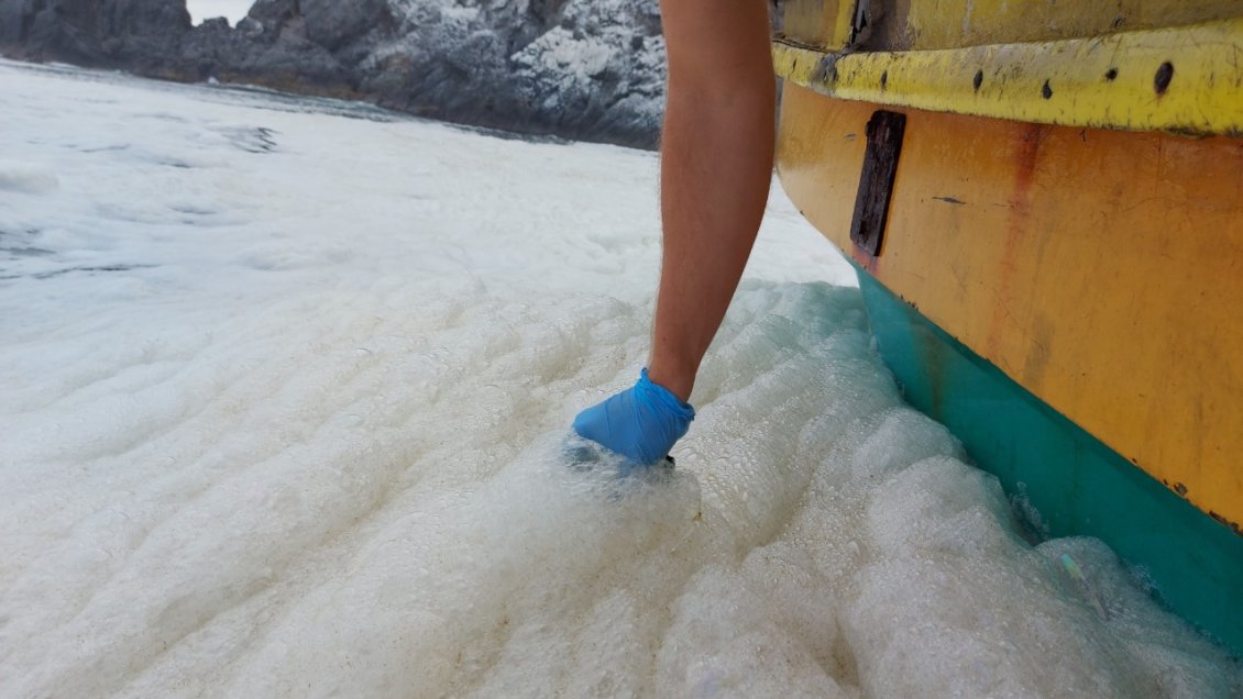 UPLA detectó coliformes fecales sobre la norma en aguas marinas de Valparaíso