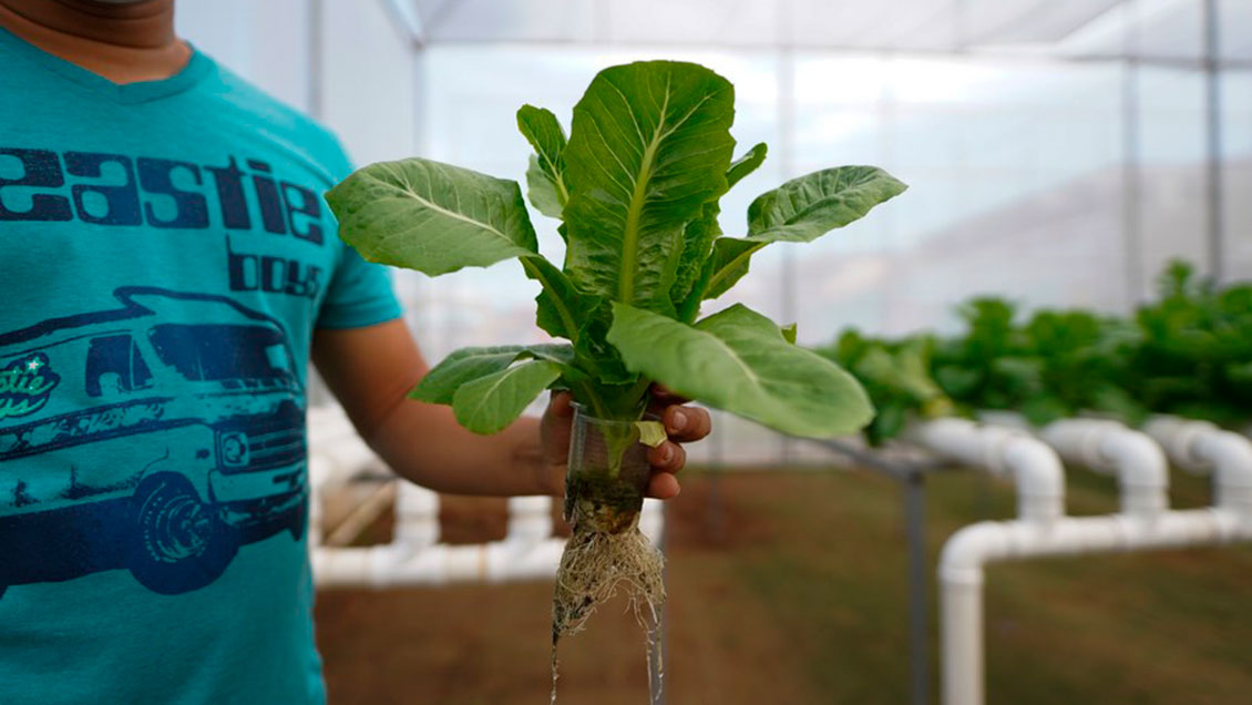 China publica una guía ciudadana para reducir las emisiones de carbono