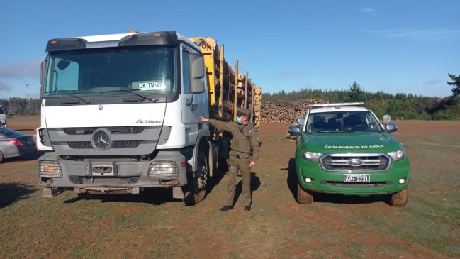 Carabineros detectó dos camiones cargados con madera robada en Arauco