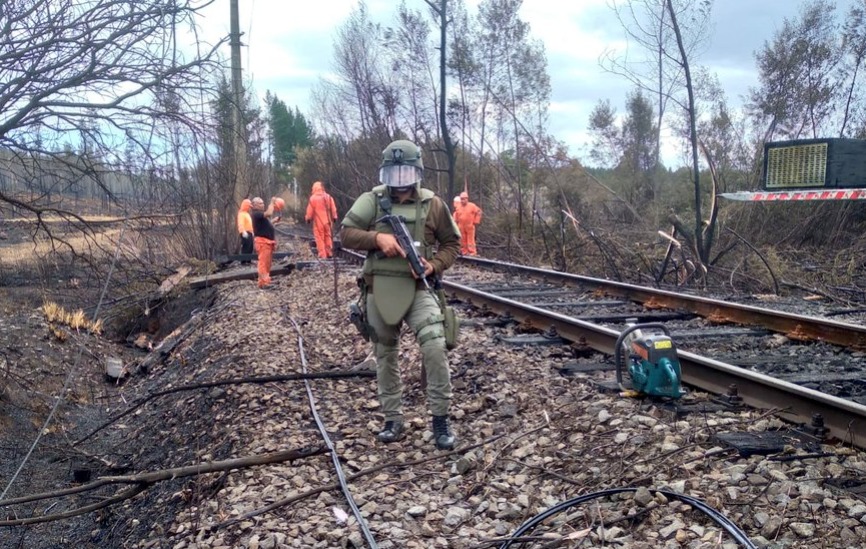 Carabineros detuvo a pareja que sacaba pernos de la línea férrea en Collipulli