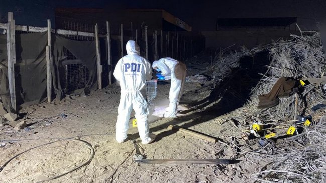 Cadáver fue encontrado maniatado y con múltiples puñaladas en Alto Hospicio